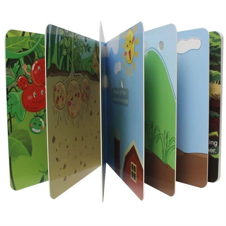 Early Childhood Education Book
