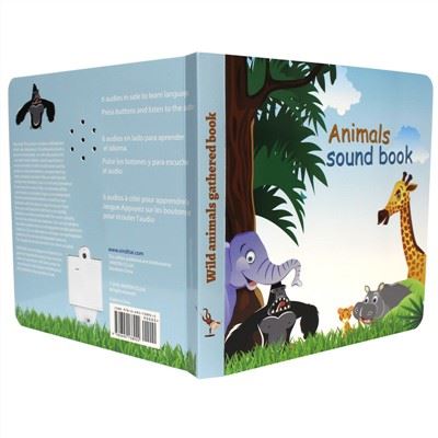 Eğitim İçin Düğmeye Bas Sesli Kitap