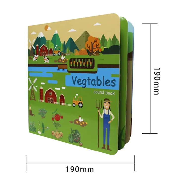 Usborne First Book About The Orchestra For Story Reading Book